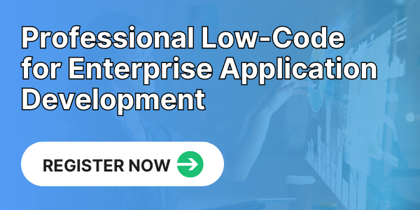 Professional Low Code for Enterprise Application Development
