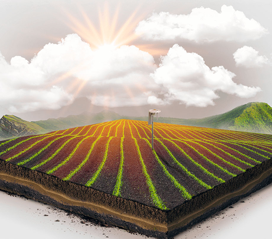 Arable vision Arable vision