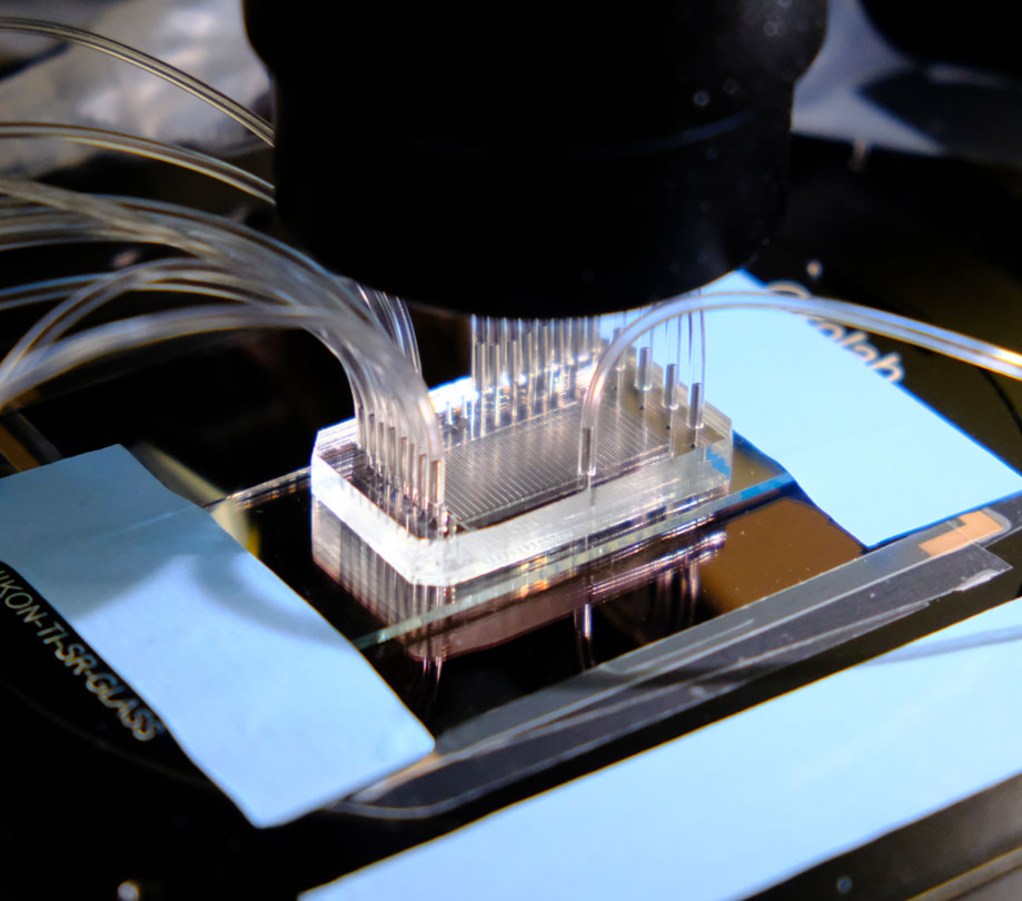 Workcell with a microfluidic chip testing thousands of AI designed proteins