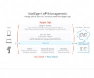 Apigee-Offers-New-Lightweight-Service-for-Managing-Internal-APIs