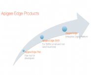 Apigee-Introduces-New-SaaS-API-Management-Product-for-SMBs