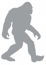 Easier-to-Do:-Find-Bigfoot-or-Develop-the-Next-Million-Dollar-App