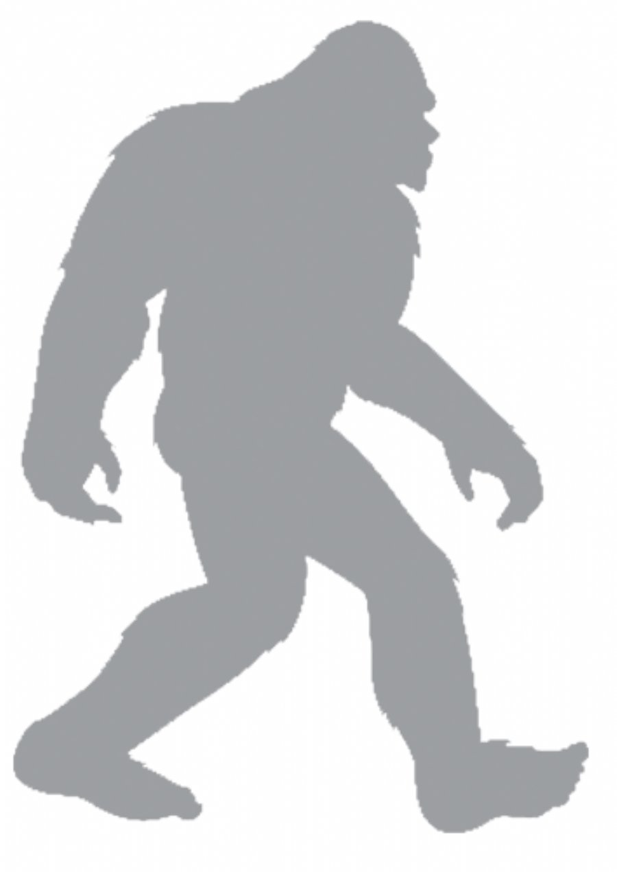 Easier to Do: Find Bigfoot or Develop the Next Million Dollar App