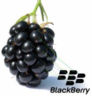 App-Developers-Shouldn’t-Hammer-Nails-in-BlackBerry’s-Coffin-Just-Yet!