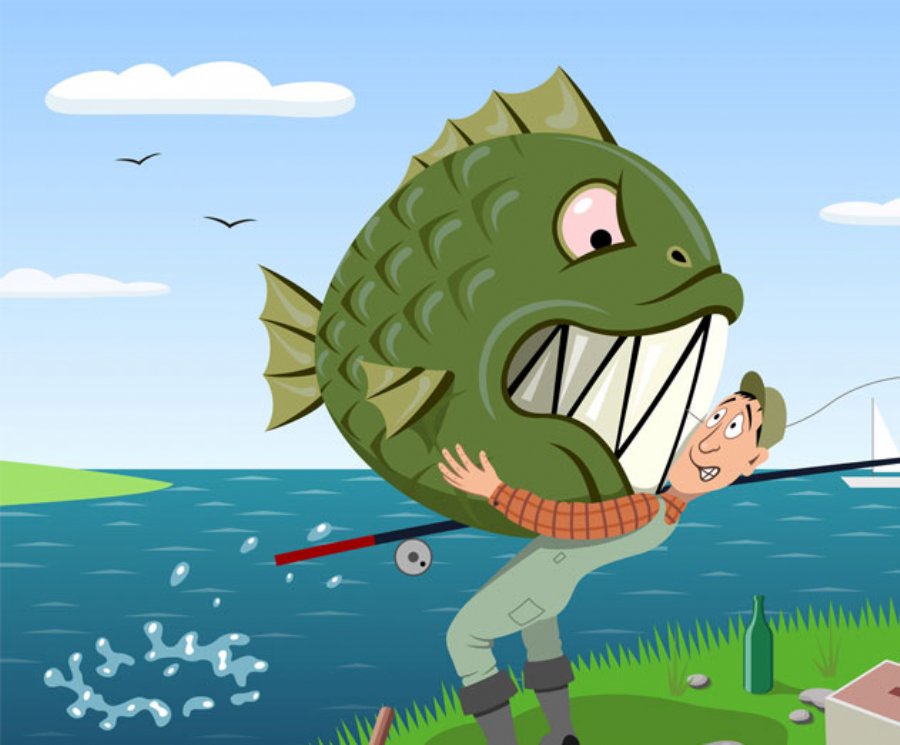 FishVerify app can help fishermen instantly identify their catch