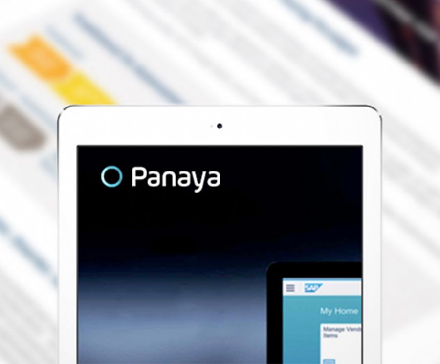 Panaya makes strides in Agile delivery