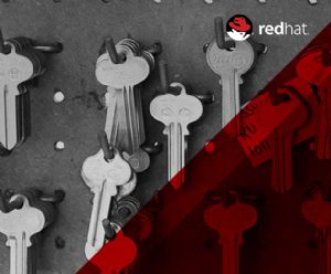 Red Hat Enterprise Virtualization 3.6 Offers Updated KVM Based Virtualization Solution