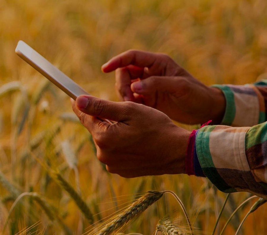 Farmers and agribusinesses see promise in digital transformation